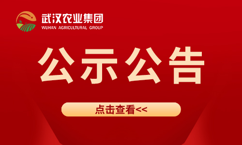 mg冰球突破(中国)官方网站