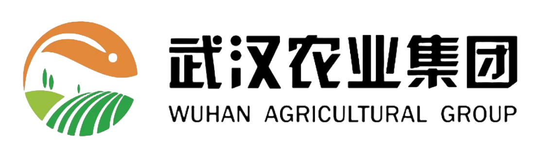 mg冰球突破(中国)官方网站